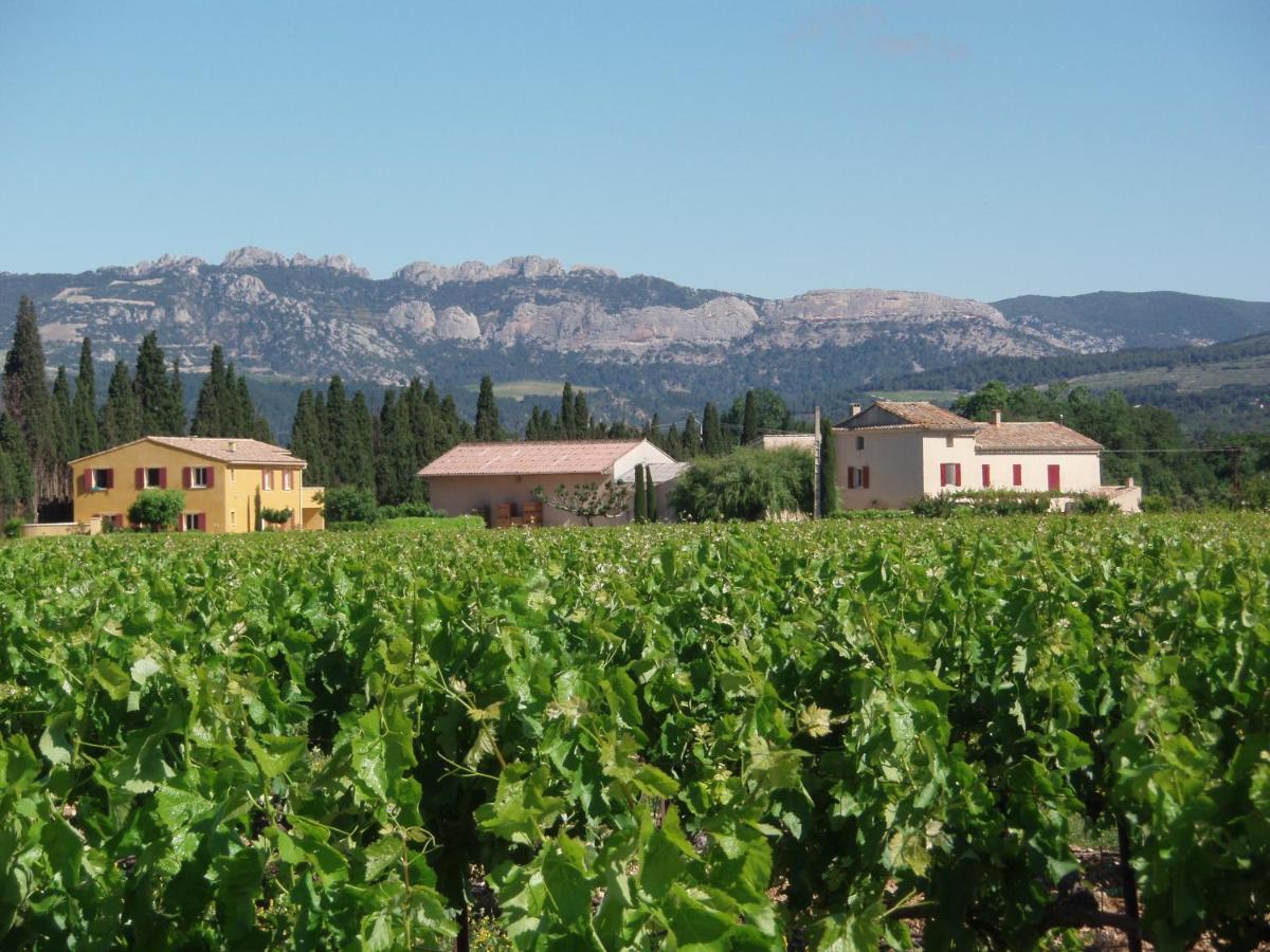 Gite Les Vignes Carpentras Ngoại thất bức ảnh