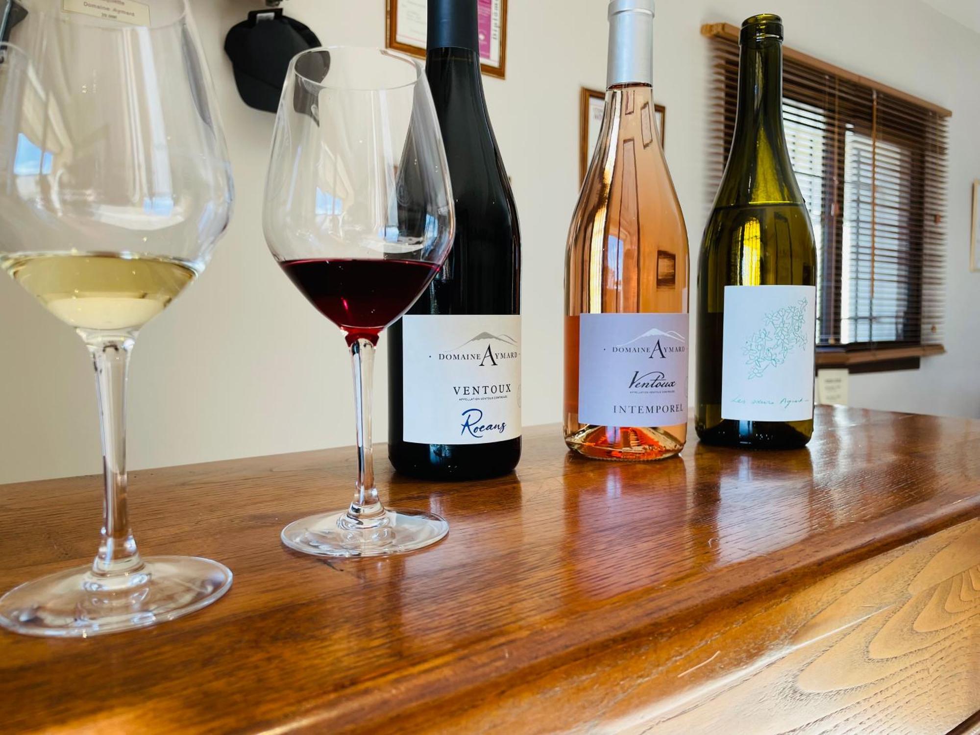 Gite Les Vignes Carpentras Ngoại thất bức ảnh